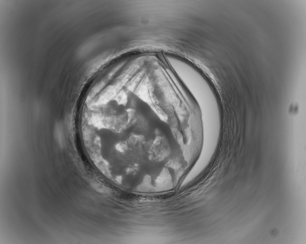 X0000099230487200805221839