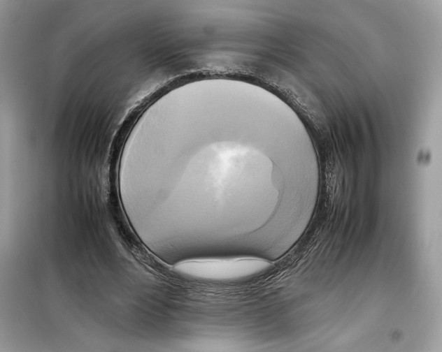 X0000099230488200805221839