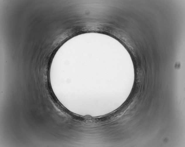 X0000099230489200805221839