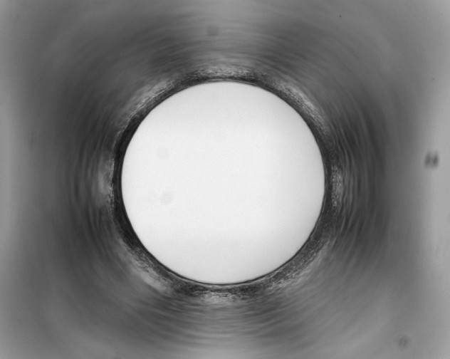 X0000099230490200805221839