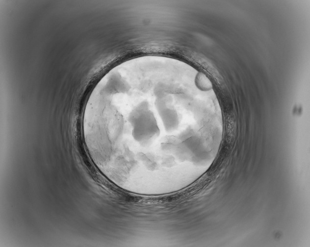 X0000099230491200805221839