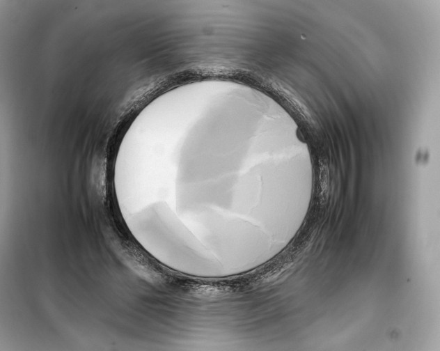 X0000099230494200805221839