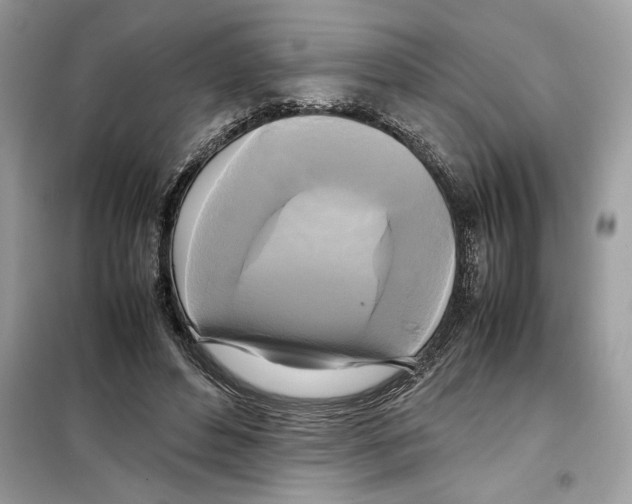 X0000099230496200805221839