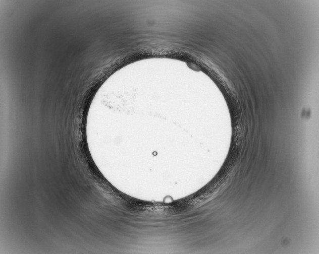 X0000099230497200805221839