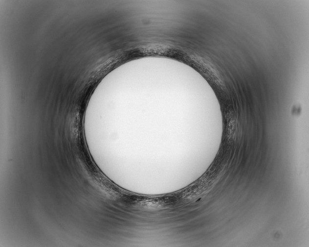 X0000099230498200805221839