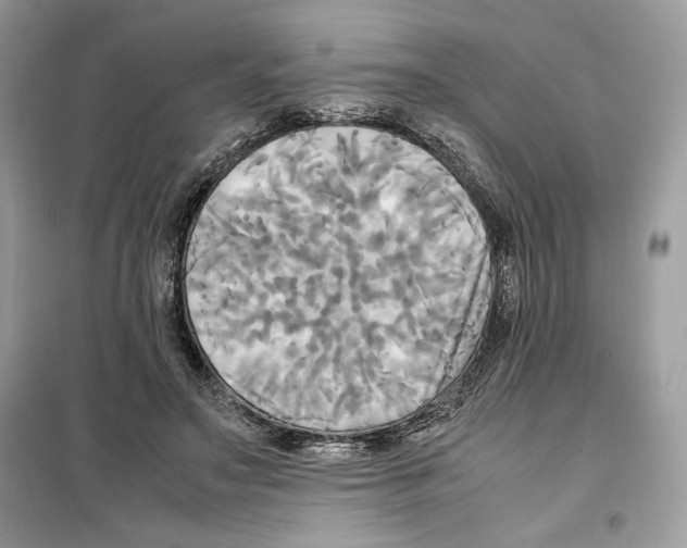 X0000099230499200805221839