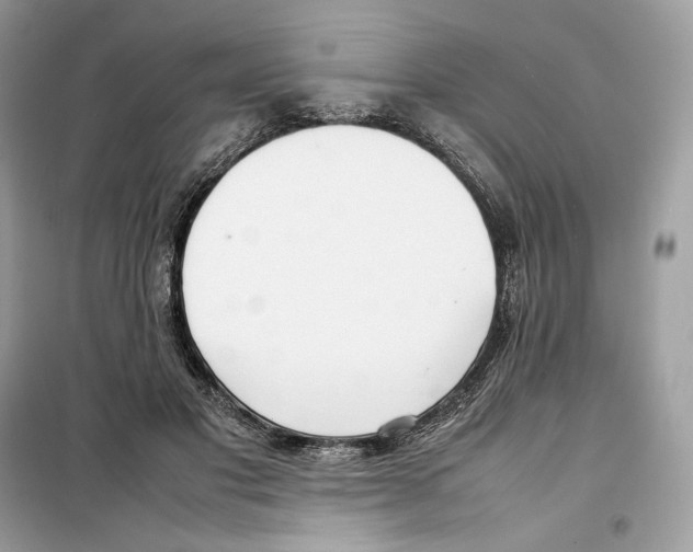 X0000099230501200805221839