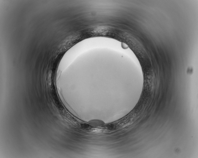 X0000099230504200805221839