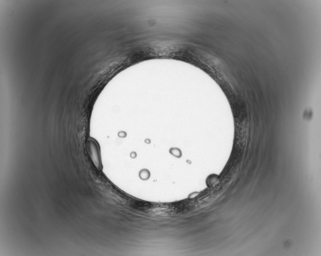 X0000099230505200805221839