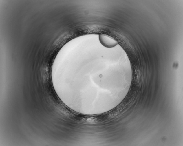 X0000099230506200805221839