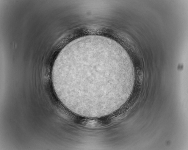 X0000099230507200805221839