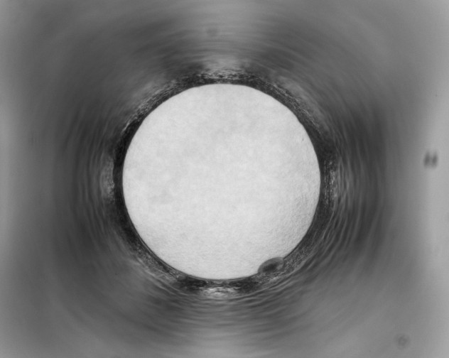 X0000099230508200805221839