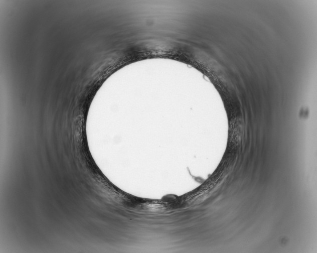 X0000099230509200805221839