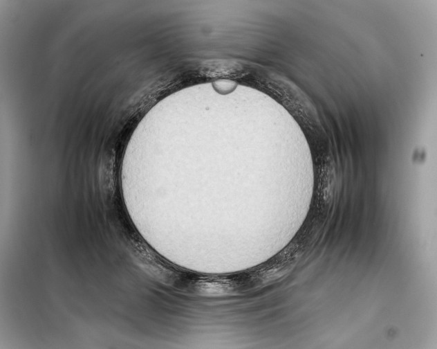 X0000099230510200805221839