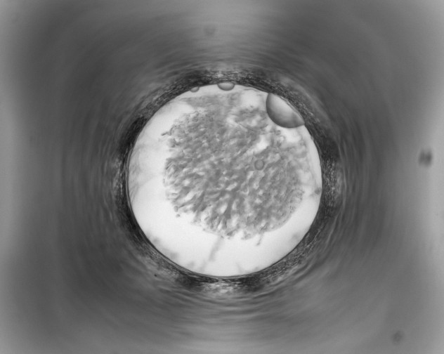 X0000099230511200805221839