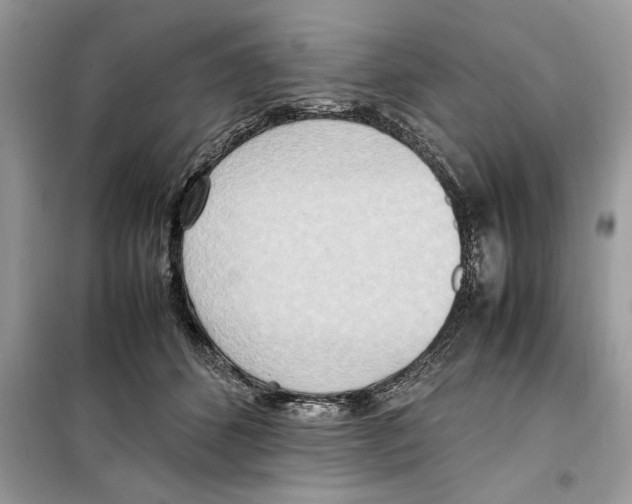 X0000099230512200805221839