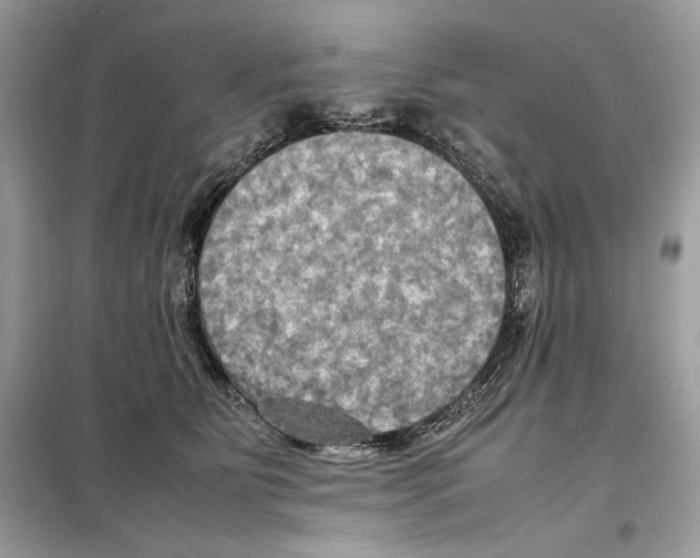 X0000099230515200805221839