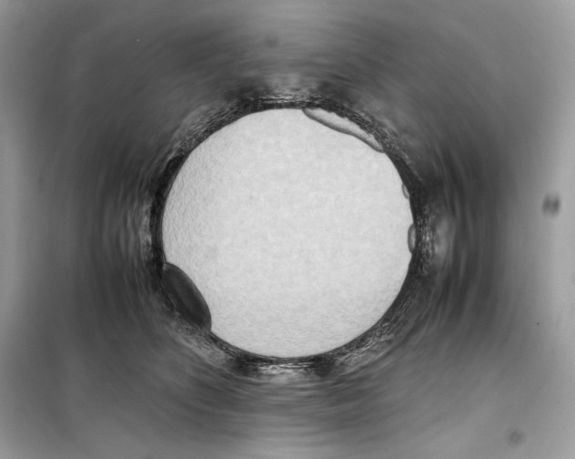 X0000099230516200805221839