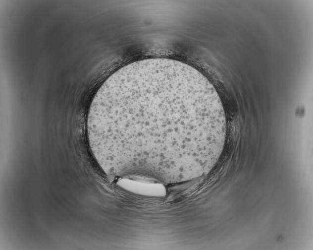 X0000099230517200805221839