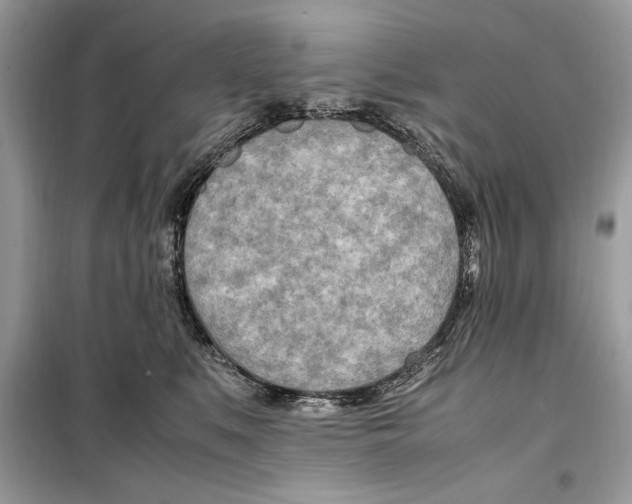 X0000099230519200805221839