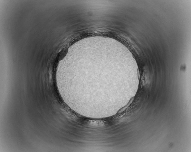 X0000099230520200805221839