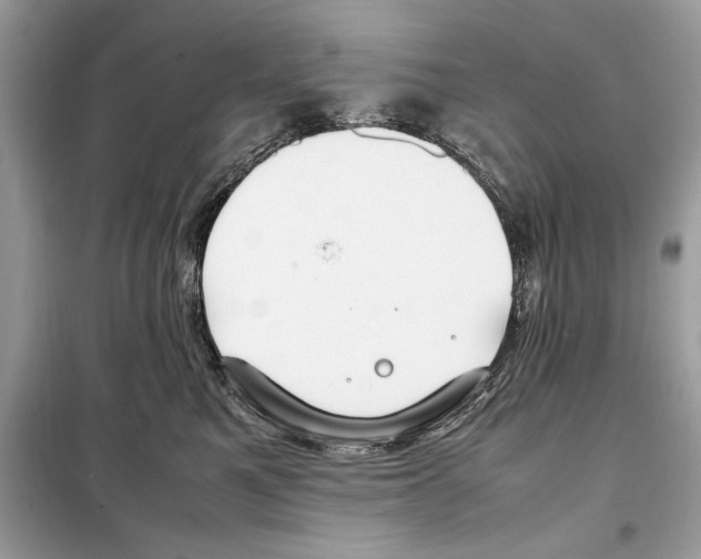 X0000099230521200805221839