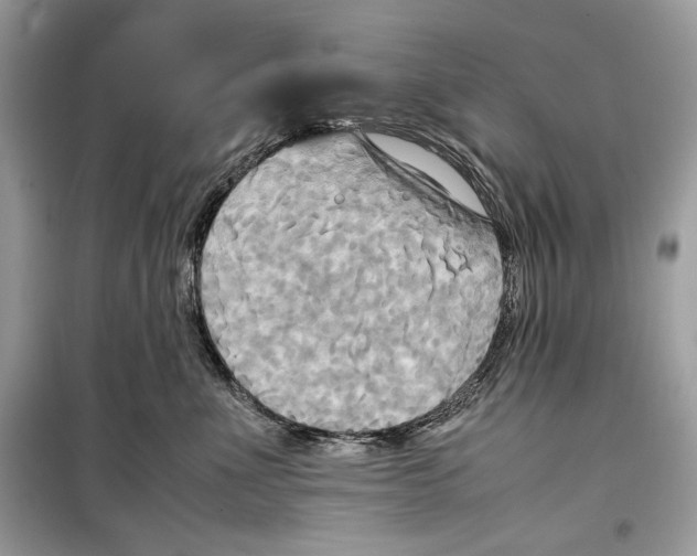 X0000099230523200805221839