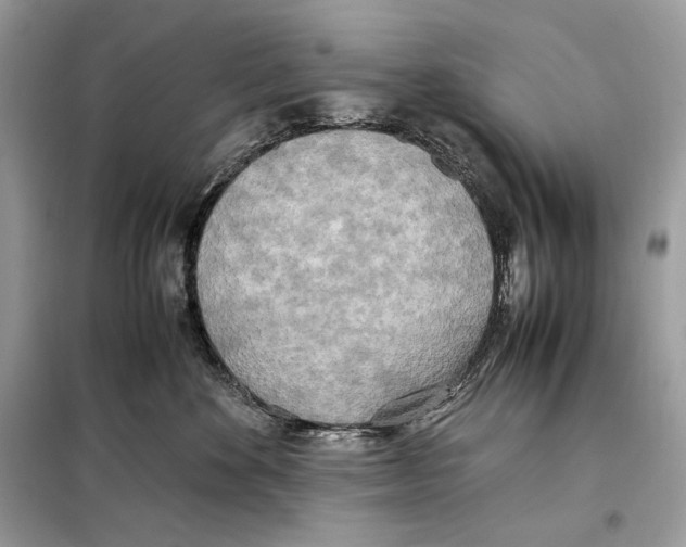 X0000099230524200805221839