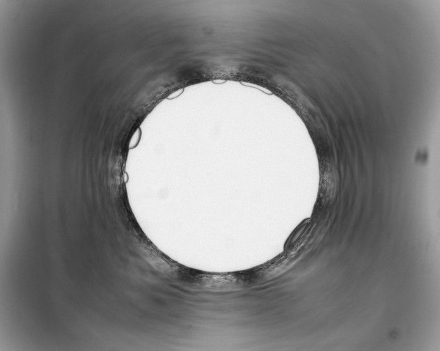 X0000099230525200805221839