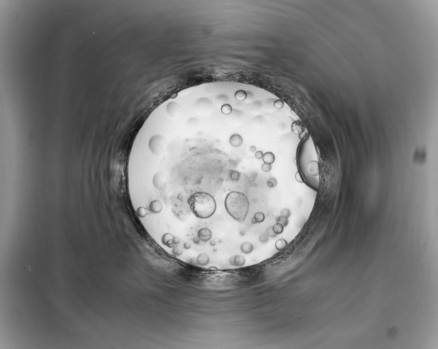 X0000099230527200805221839