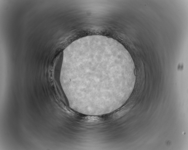 X0000099230528200805221839