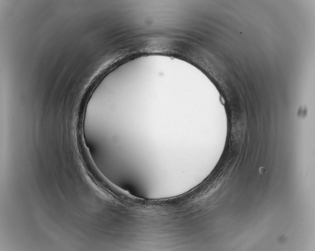 X0000099230530200805221838