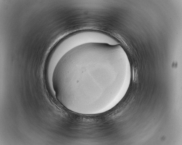 X0000099230531200805221838