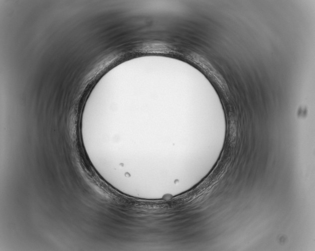 X0000099230533200805221838