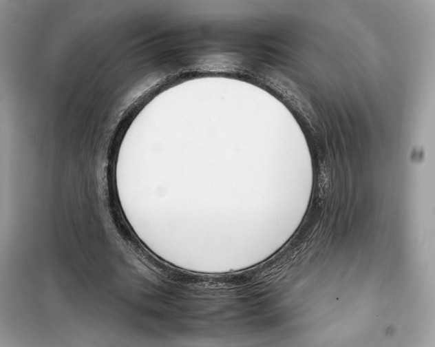 X0000099230535200805221838