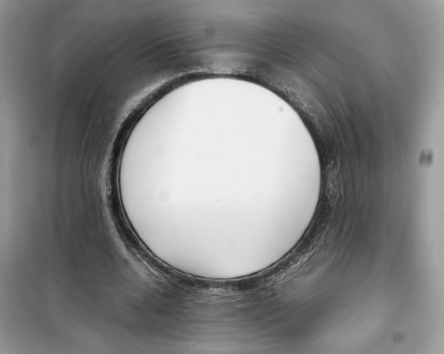 X0000099230536200805221838