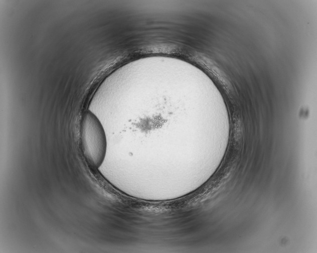 X0000099230537200805221838