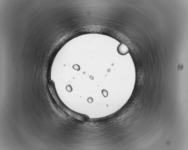 X0000099230538200805221838