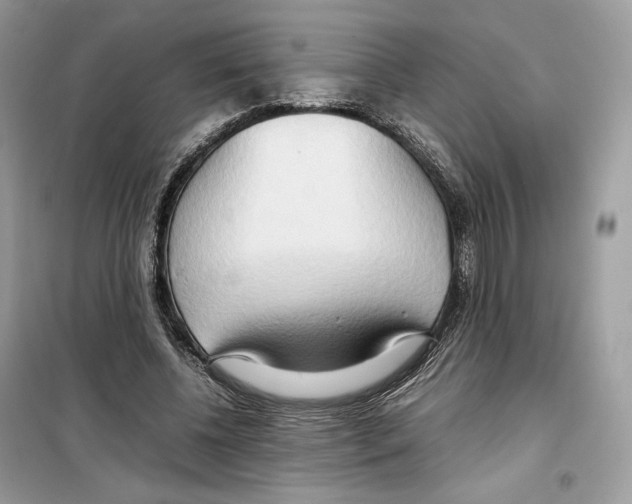 X0000099230540200805221838