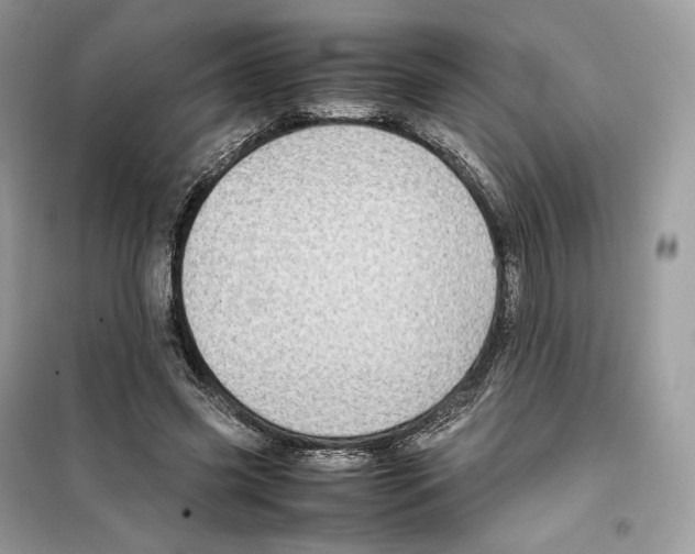 X0000099230541200805221838