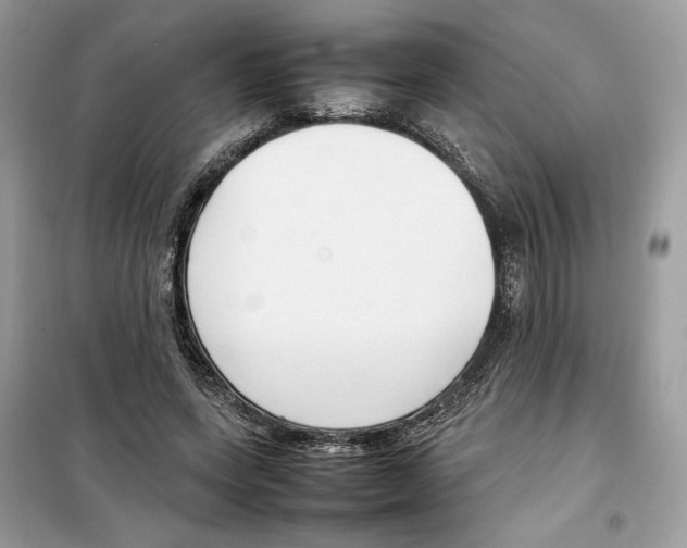 X0000099230543200805221838