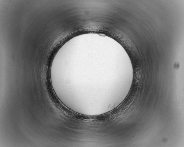 X0000099230544200805221838