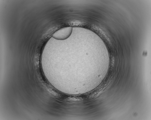 X0000099230545200805221838