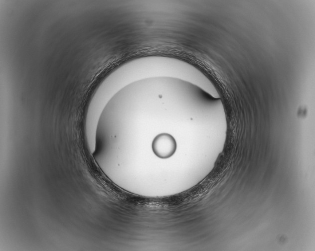 X0000099230546200805221838