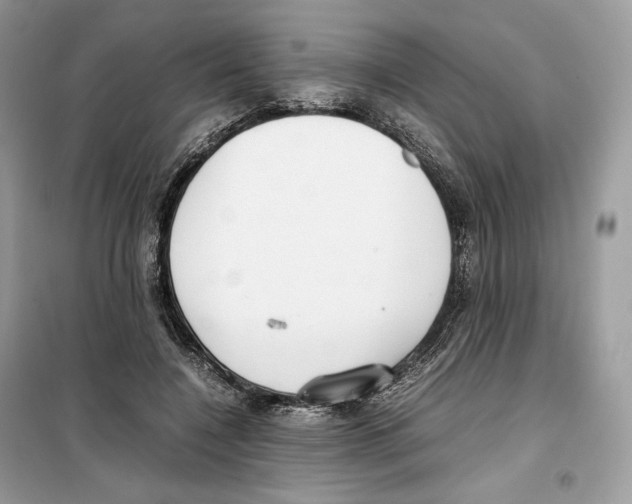 X0000099230548200805221838