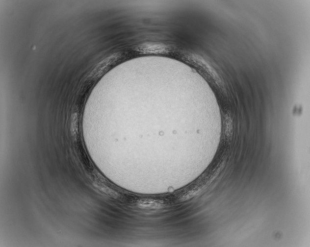 X0000099230549200805221838