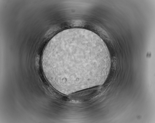 X0000099230550200805221838