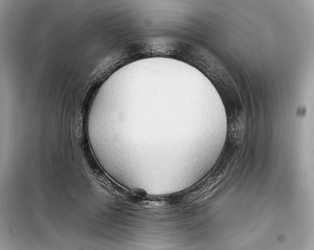 X0000099230552200805221838