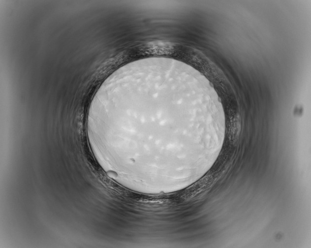 X0000099230553200805221838