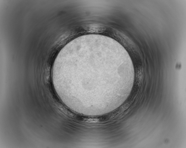 X0000099230554200805221838